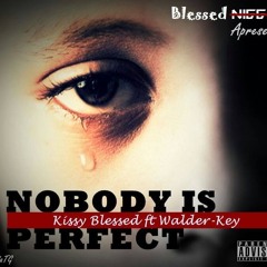 Nobody Is Perfect