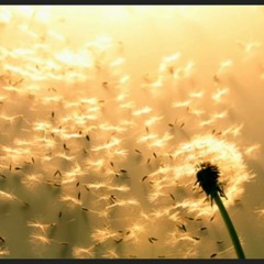 Deep Spelle - I Forgive You (Original Mix)