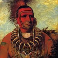 Wayrdebe - Far West 175