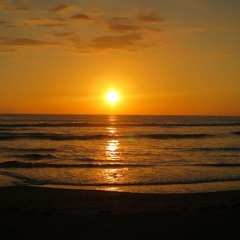 Costa Rica - Song Swap - La Peña De Casualidad (biomigrant MIX)