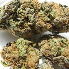 JESSE JENDAH -  WEED FREE