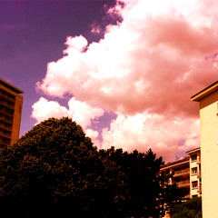 Vin-LTD - Celtic Ogham