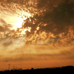 Vin-LTD - How to Remember