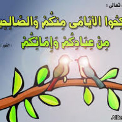 ليلة جميلة