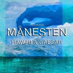 Hawaii & Caesar - M�nesten (prod. gold skeleton)