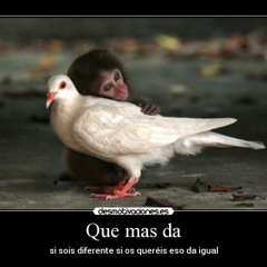 - JUANKA -que Mas Da -