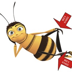 The Bees Knees