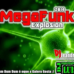 Mega Funk Explosion 2014 Dj Luis & Dj Leandro ((SEMVHT))