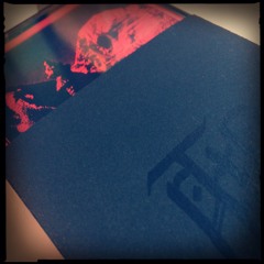 Like a Wisp of Smoke, a Glowing Butterlamp (Excerpt)