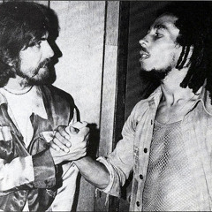 Bob Marley vs. The Beatles - Here Comes The Sun Is Shining (Slim Vic Mashup)