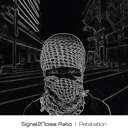 SIGNAL2NOISE RATIO - Respect