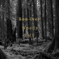 Woods - Bon Iver (SHIIDO RMX)