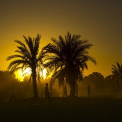 مارين تود
