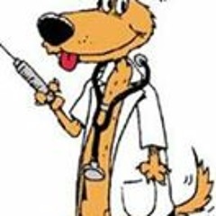 عياده الدكتور الكلب لولو