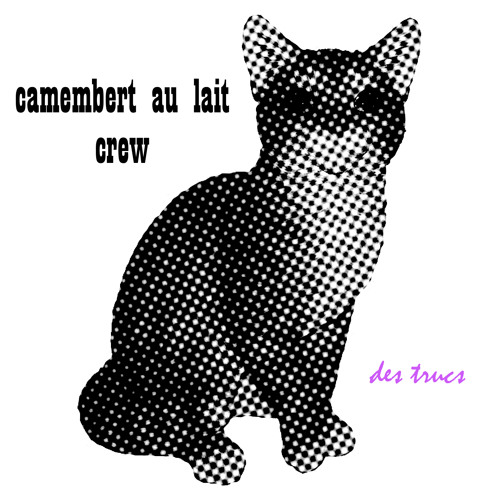 Camembert au lait crew - Des Trucs