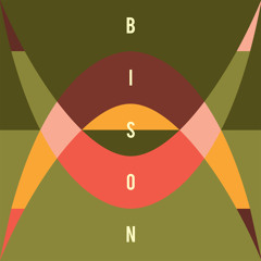 Bison - Travelers LP/CD Clips