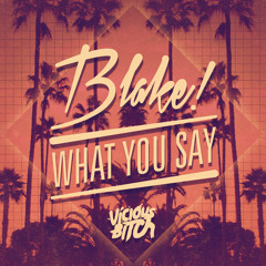 Blake - What You Say (The Squatters Remix)
