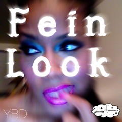 FEIN LOOK