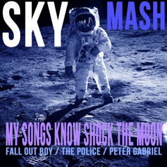 Fall Out Boy / The Police / Peter Gabriel - My Songs Know Shock The Moon (SkyMash)