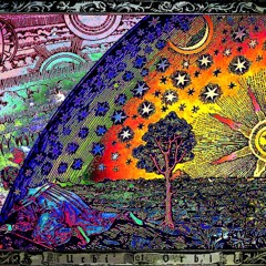 Tekkon 23 - Overtripping (very intense)