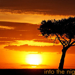 Mohit - Into the Night - Vol 12