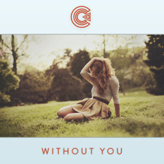 Without You