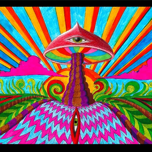 The Mushroom // Paula Daunt