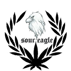 Loud PT2(ft. Rolex pro by Famous)