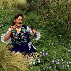 Por ti mi corazón sufre - Gloria Morocho