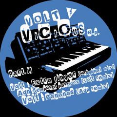 ADN - Temporal Paradox (VOLT Vicious Remix)