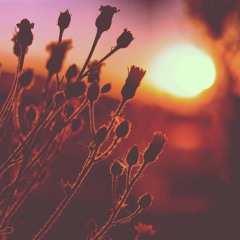 Deep House & Electro Mix