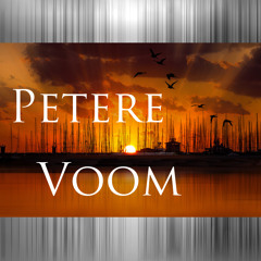 Алина Артц - Самая яркая звезда (Petere Voom remix)