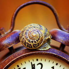 Tempo lento - L. Limbo III+ CAV. (JUGLARES)