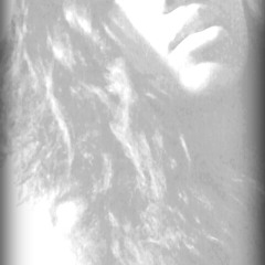 Hit & Run at Past the Moment