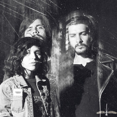 The Jack Wood - T.V.Dog