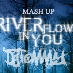 DjTOMMY - River Flows In You [MashUP]