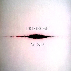 Wind