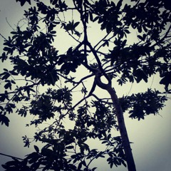 Nabil ft fathi Jelmol- Rinduku tiada berteman (cover)