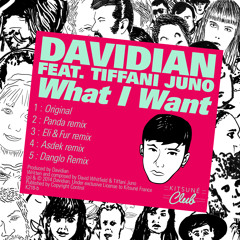 Davidian - "What I Want" (feat. Tiffani Juno)