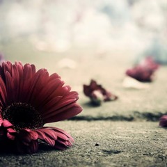 موعظة مؤثرة .. للشيخ خالد الراشد