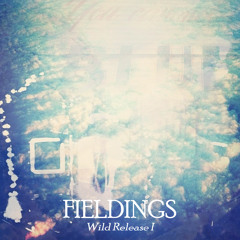 Fieldings - A Change Of Spine