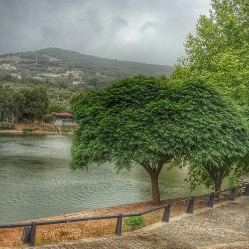 ما أجمل الشجرة - سبيس تون Spacetoon