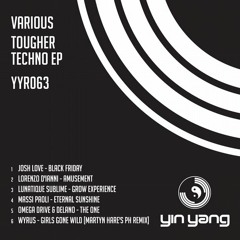Lorenzo D'Ianni - Amusement (Original Mix) [Yin Yang]
