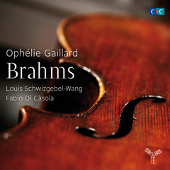 Brahms "Trio for clarinet, cello & piano-Allegro Alla Breve" O.Gaillard, L.Schwizgebel, F.Di Càsola