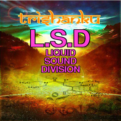 L.S.D. Liquid Sound Division (unmastered)