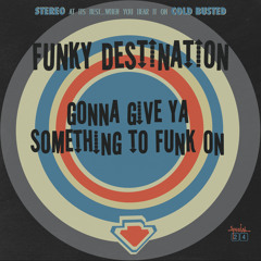 Funky Destination - Gonna Give Ya Something To Funk On (Cold Busted)