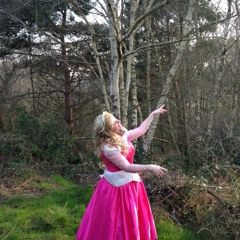 Sleeping Beauty - Once Upon A Dream And Cinderella