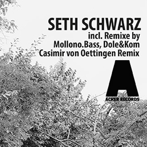 Seth Schwarz - Elysium (Mollono.Bass Remix)