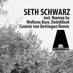 Seth Schwarz - Jabel EP