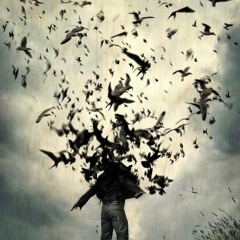 Hiç Bi *** Olmıycak